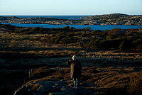 _DSC0203