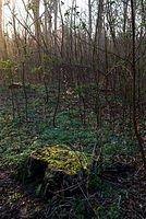 _DSC1154