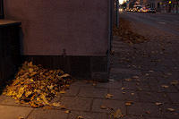 20091103-IMGP9352-2