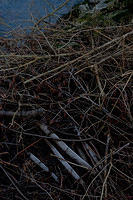 20091213-IMGP9621-4
