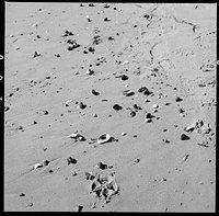07v11-0003