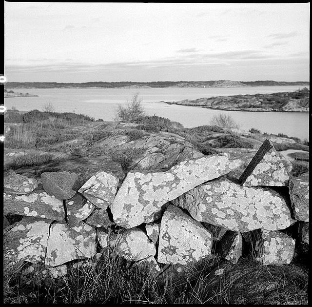 07v41-0009