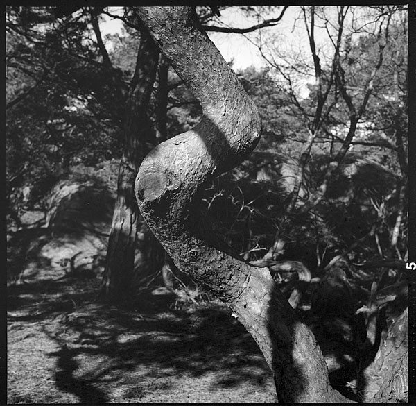 07v11-0007