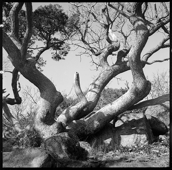 07v11-0011