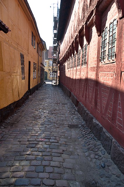 DSC_8796