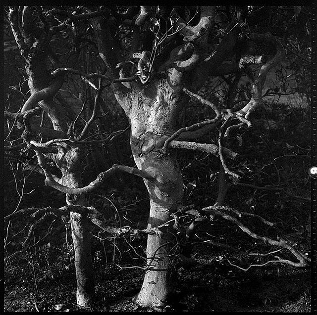 07v17-0011