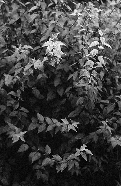 07v35-0014