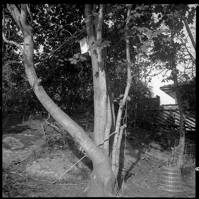 07v38-0005