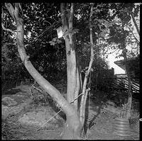 07v38-0005