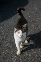 20100803-IMGP0345-1