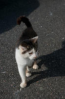 20100803-IMGP0346-2