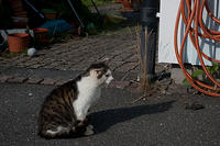 20100803-IMGP0349-3